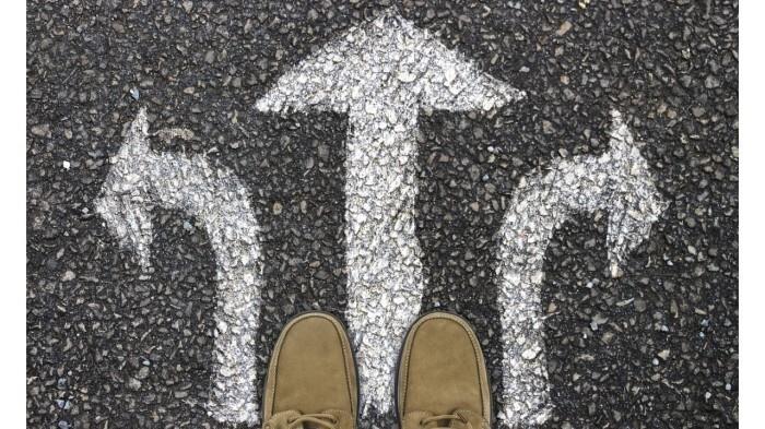  Decision support tools published